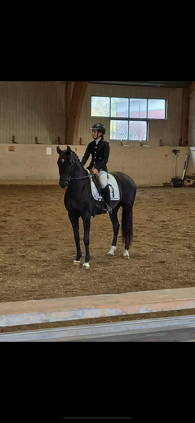 Vilde