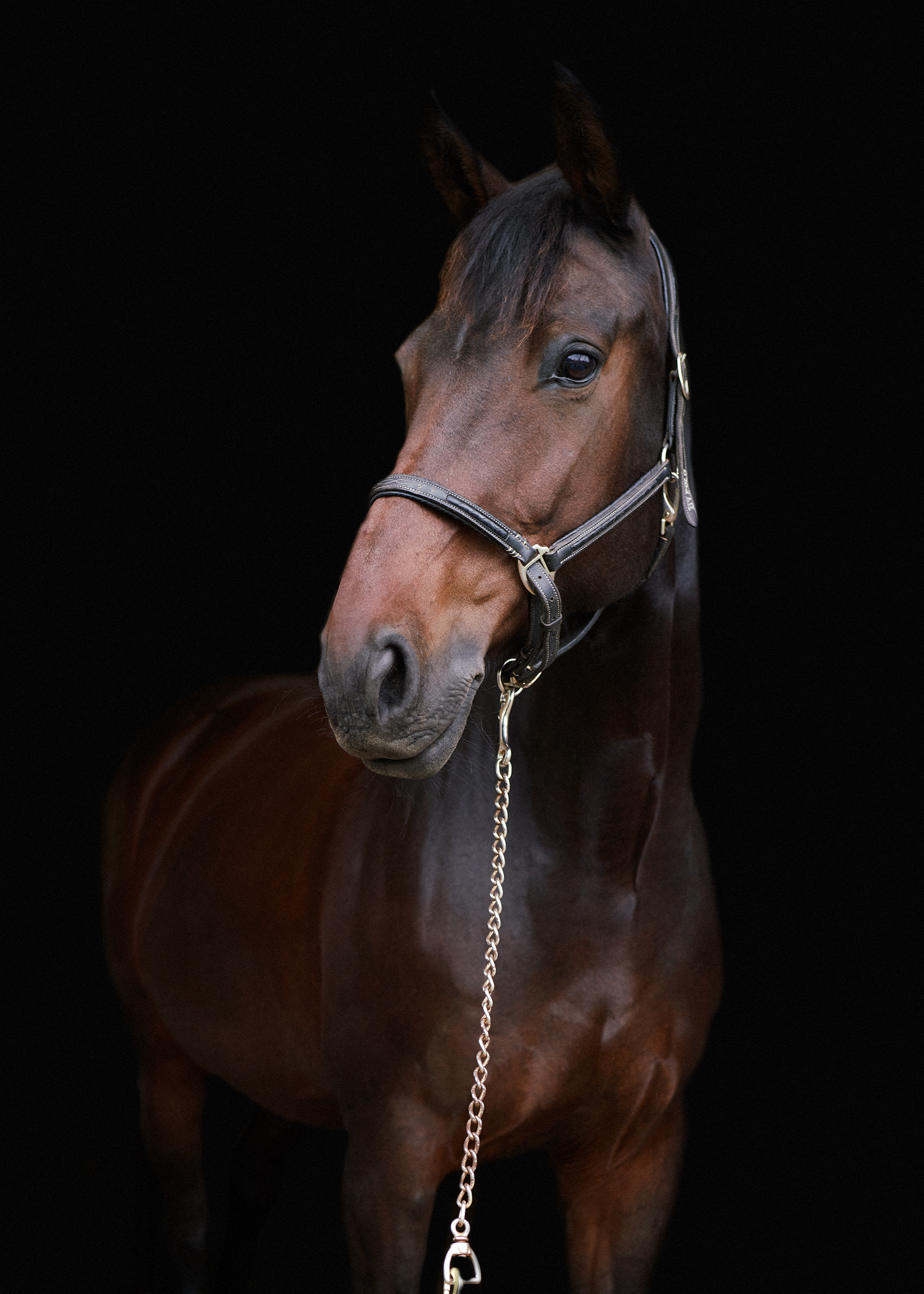 René